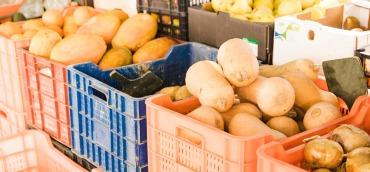 Mato Grosso gera mais de 360 mil empregos no primeiro semestre deste ano